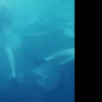 Les Dents de la Mer - Teaser 9 - VO - (1975)