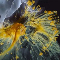 Voyage of Time : Au fil de la vie - Bande annonce 1 - VO - (2016)