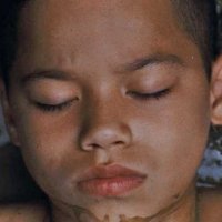 We The Animals - Bande annonce 1 - VO - (2018)