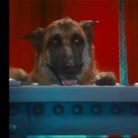 Comme chiens et chats - La Revanche de Kitty Galore - Extrait 10 - VF - (2010)
