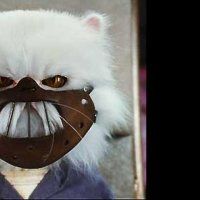 Comme chiens et chats - La Revanche de Kitty Galore - Extrait 4 - VF - (2010)