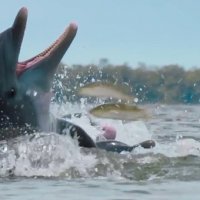 Blue - Extrait 3 - VF - (2018)