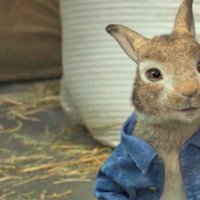 Pierre Lapin - Bande annonce 1 - VF - (2018)