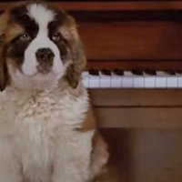 Beethoven - Bande annonce 3 - VO - (1992)