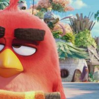 Angry Birds - Le Film - Extrait 3 - VF - (2016)