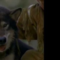 Les Nouvelles Aventures de Croc-Blanc - Bande annonce 1 - VO - (1993)