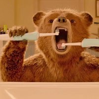 Paddington 2 - bande annonce 2 - VOST - (2017)
