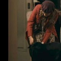La mosquitera - Extrait 1 - VO - (2010)