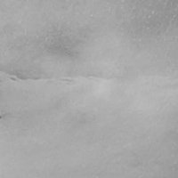Citizen Kane - Extrait 13 - VO - (1941)