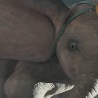 Dumbo - Extrait 2 - VF - (2019)
