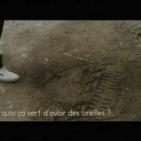 Memories of Murder - Extrait 2 - VO - (2003)