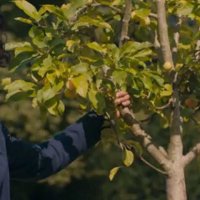 The Personal History Of David Copperfield - Bande annonce 1 - VO - (2019)