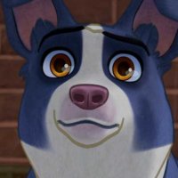Nous, les chiens - Extrait 1 - VF - (2019)