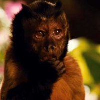 Zookeeper - Extrait 9 - VF - (2011)