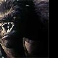 King Kong - Extrait 5 - VF - (2005)