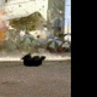 Le Tombeau - Extrait 1 - VF - (2000)