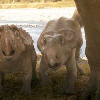Sur la terre des dinosaures, le film 3D - Extrait 10 - VF - (2012)