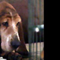 Baby Blues - Extrait 5 - VF - (2008)