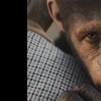 La Planète des singes : les origines - Extrait 9 - VF - (2011)