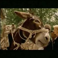 La Vie est un miracle - Extrait 5 - VO - (2004)
