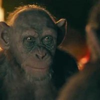La Planète des Singes - Suprématie - Extrait 15 - VO - (2017)