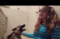 10 raisons pour une fille d'avoir des relations sexuelles avec son chien