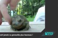 Très mauvaise idée : se faire étrangler par un boa constrictor !