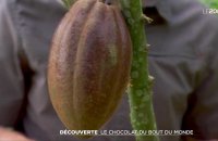 Découverte : le chocolat du bout du monde