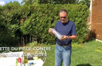 Tuto : comment réaliser un piège contre les frelons asiatiques ?