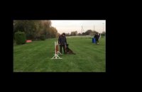 Messi, un berger d'attaque au Salon de l'agriculture