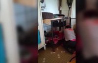 La SPA retrouve 150 chats dans une maison