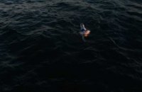 Une Américaine traverse quatre fois la Manche à la nage sans s'arrêter