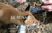 Baby boom au Parc Argonne Découverte dans les Ardennes
