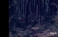 Initiation à l'écologie de la Grande Lande