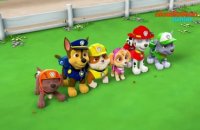 Paw Patrol : la Pat'Patrouille | Atterrissage Aveugle | NICKELODEON JUNIOR