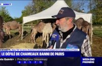 "C'est un défilé très attaché à la paix": Christian Schoettl, organisateur du défilé de chameaux s'exprime quelques heures avant l'évènement