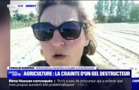 "On ne dort pas très sereinement la nuit", raconte Coralie Duberos, arboricultrice dans le Lot-et-Garonne confronté au gel