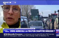 Crise agricole: "Notre phase de mobilisation va redémarrer", affirme Véronique Le Floc'h (Coordination rurale)