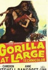 Affiche de Gorilla at Large