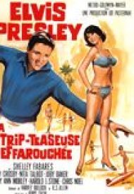 Affiche de La Strip-teaseuse effarouchée