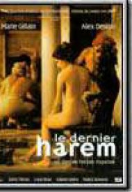 Affiche de Le Dernier harem