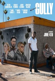 Affiche de Gully
