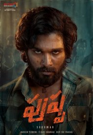 Affiche de Pushpa: The Rise - Part 01