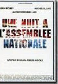 Affiche de Une nuit à l'Assemblée nationale
