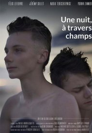 Affiche de Une nuit, à travers champs