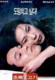 Affiche de Green Fish
