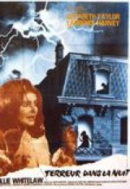 Affiche de Terreur dans la nuit