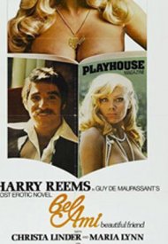 Affiche de L' Emprise des Caresses