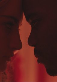 Affiche de The Violent Heart