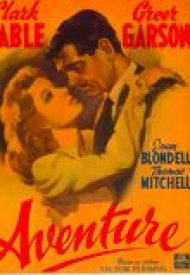 Affiche de L'Aventure